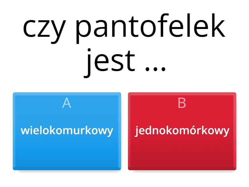Sprawdzian Protisty Gimnazjum Zapytaj.onet protisty - Quiz
