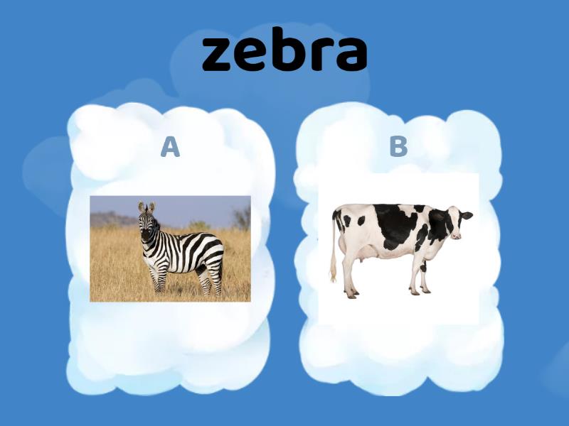 zebra e vaca vocabulario 1 - Quiz