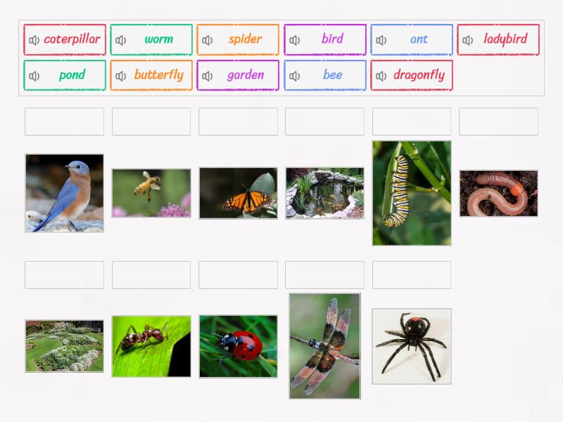 Unit 9 Lesson 1 Match Up