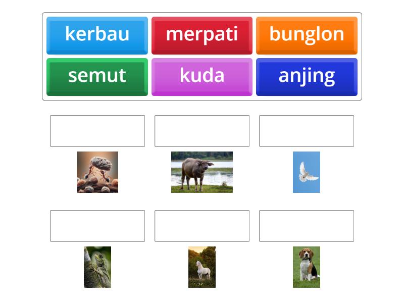 mencocokkan gambar sesuai kata - Match up