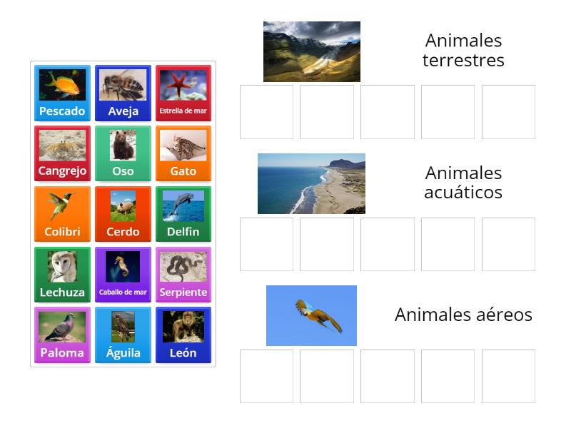 Clasificacion de animales segun su desplazamiento. - Ordenar por grupo
