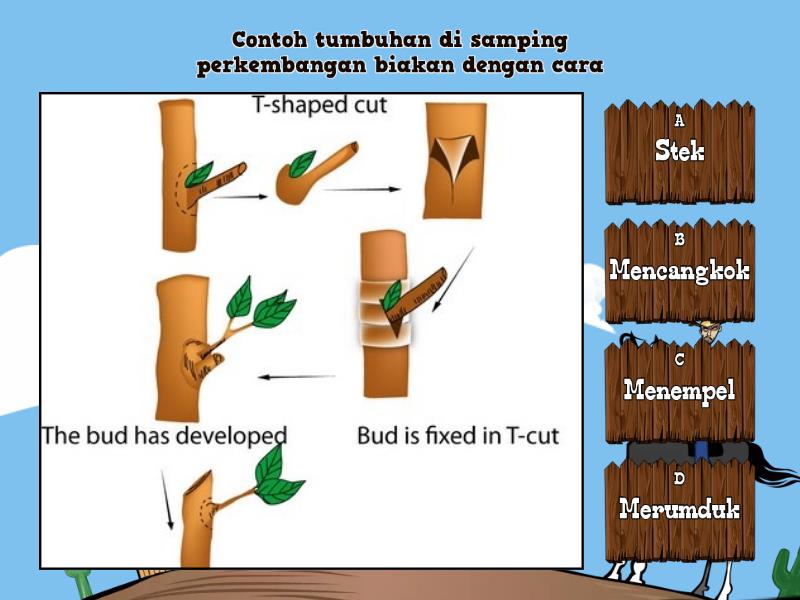 Perkembangbiakan Tumbuhan Quiz