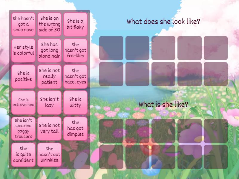 pre-int-what-does-she-look-like-vs-what-is-she-like-group-sort