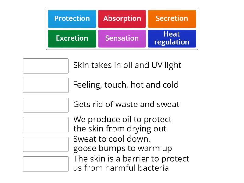 Functions of skin - Une las parejas