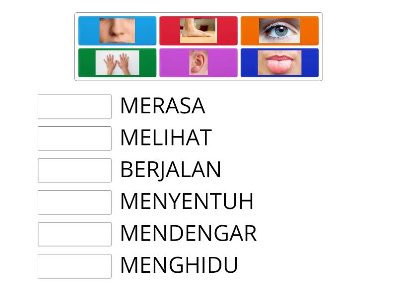 Padankan Fungsi Anggota Badan - Match up