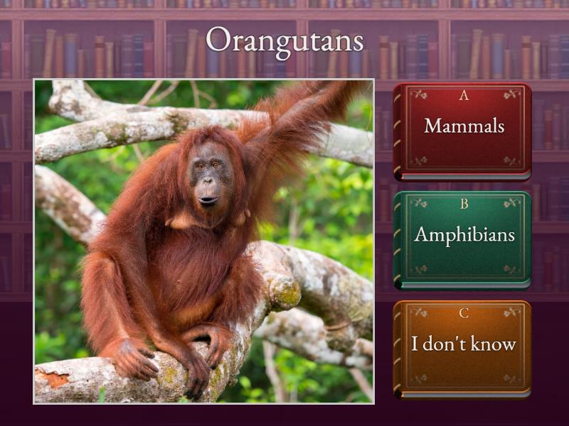 Mammals/Amphibians - Quiz