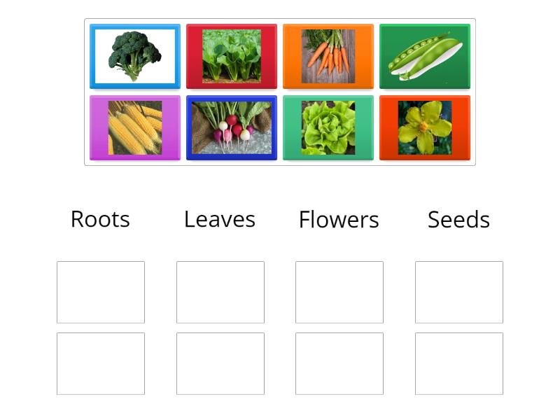 MATCHING GAME - Group sort