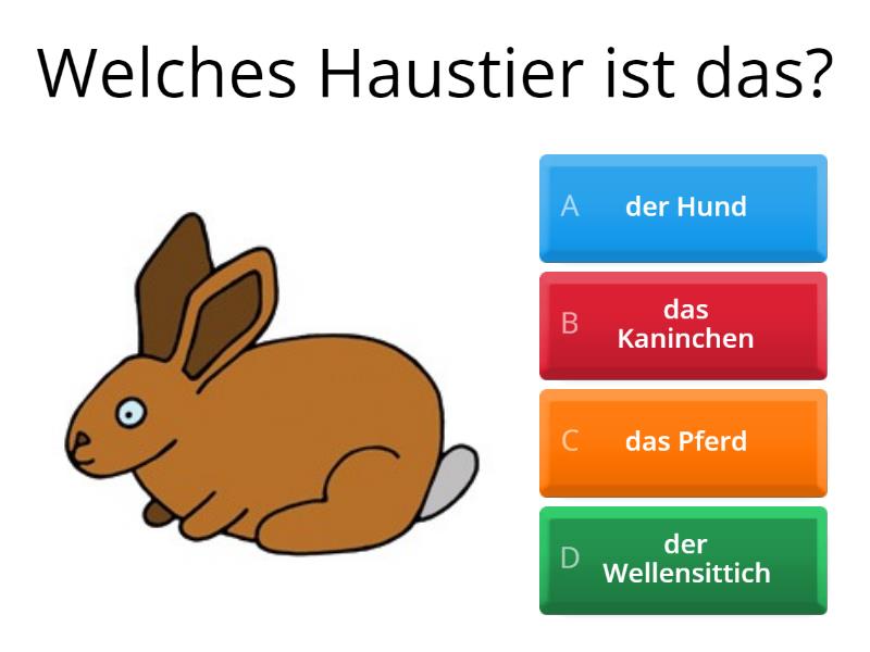 Haustiere - Quiz