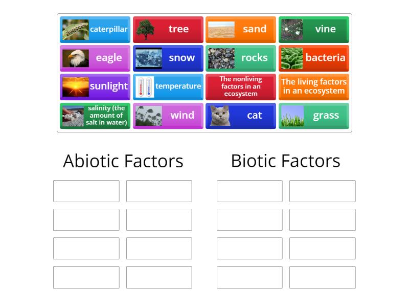 Abiotic vs Biotic Factors - Group sort
