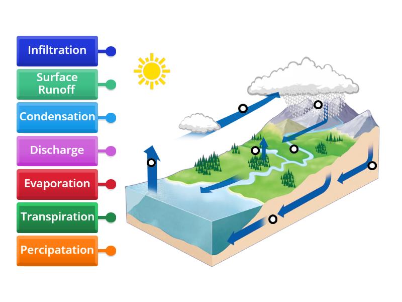 Water Cycle Labeled Diagram - Labelled diagram