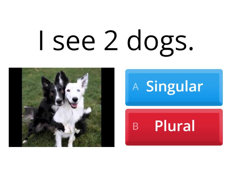 Singular And Plural Nouns - Quiz