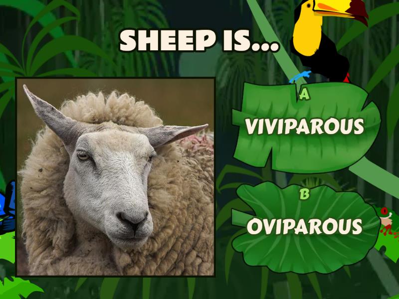 how-are-animals-born-quiz