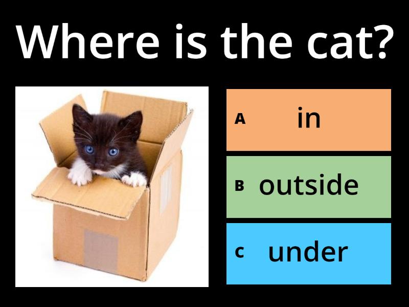 Can you name location? Quiz