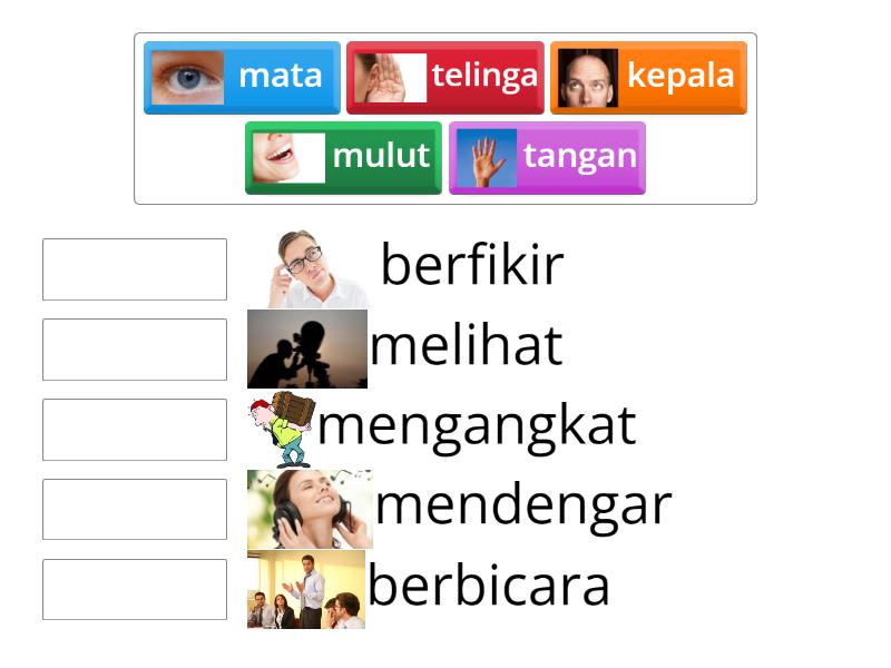 kegunaan Anggota Tubuh - Match up