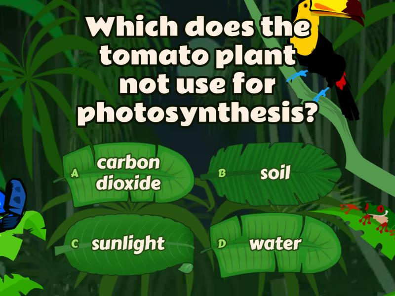 Unit 2 Life Science Quiz