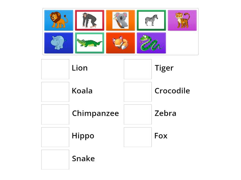 Wild Animals - Match up