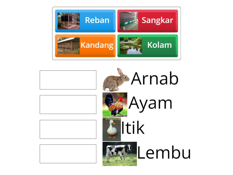 Habitat haiwan penternakan - Match up