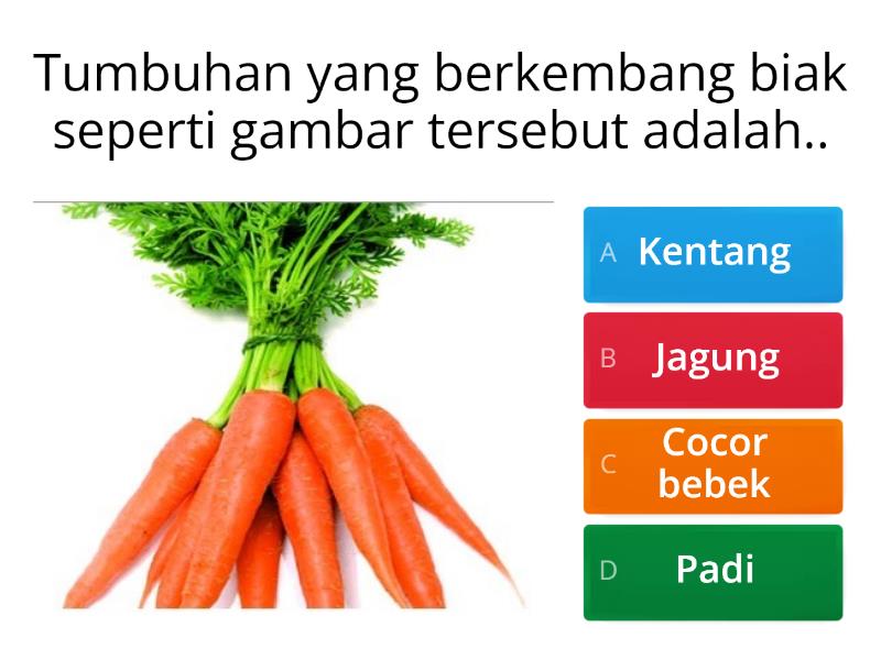 Soal Perkembangbiakan Tumbuhan - Quiz