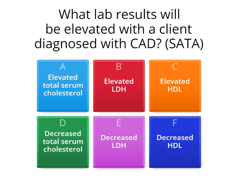 Winter 2024 Week 1 Cardiac Review Quiz   D37b73185d564d22bebe9b4e6a4525a7 0