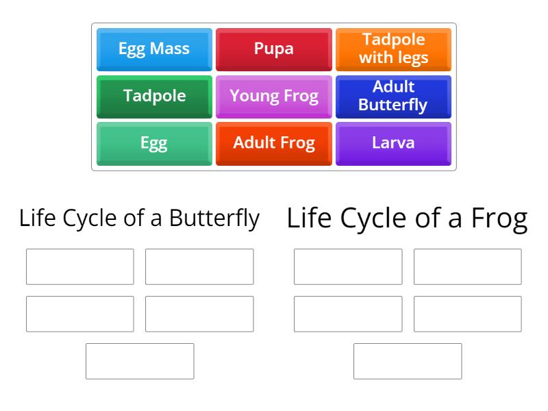 Life Cycles - Group sort