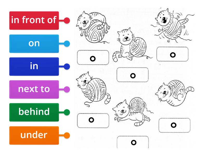 Spotlight 3 Module 6 - Labelled diagram