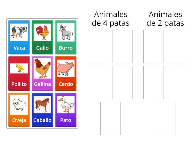 clasifica a los animales segun la cantidad de patas - Group sort