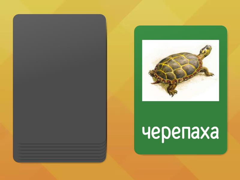 Буква Ч - Випадкові карти