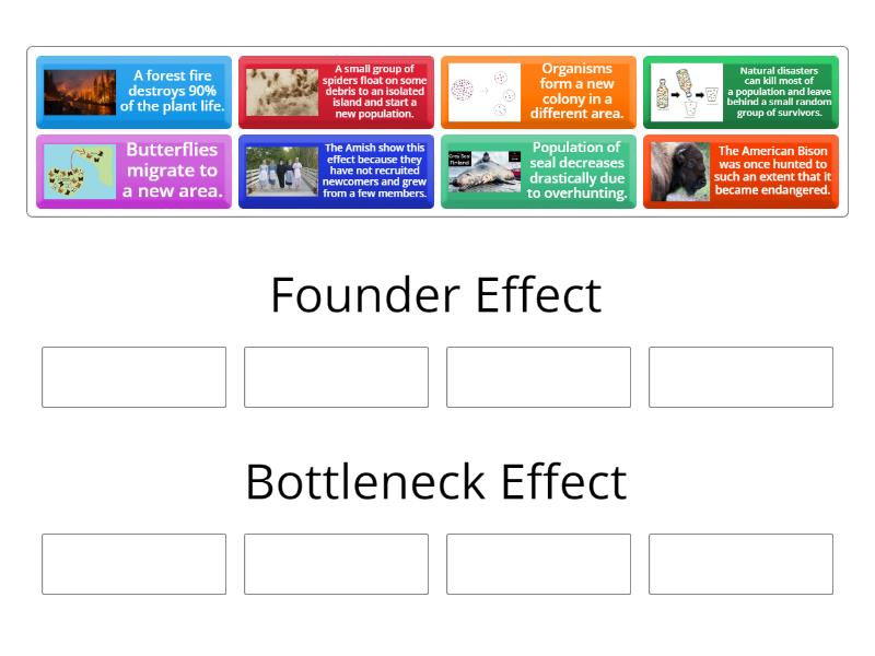 Founder Effect Vs. Bottleneck Effect Group sort