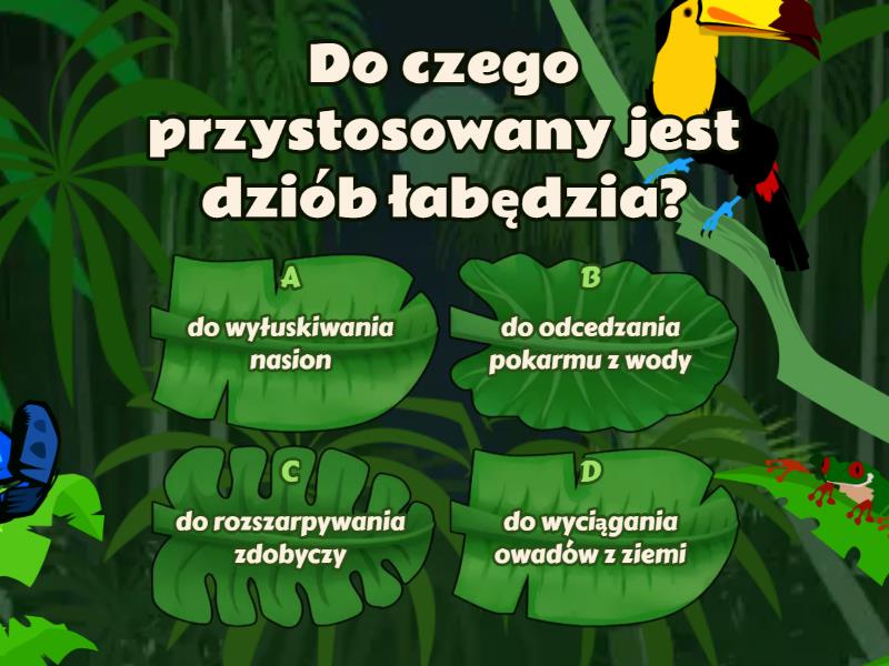 Test Z Biologii Klasa 6 Dzial 2 Test z biologii - kręgowce - klasa 6 - Cuestionario