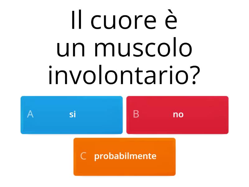 VERIFICA APPARATO CIRCOLATORIO - Quiz