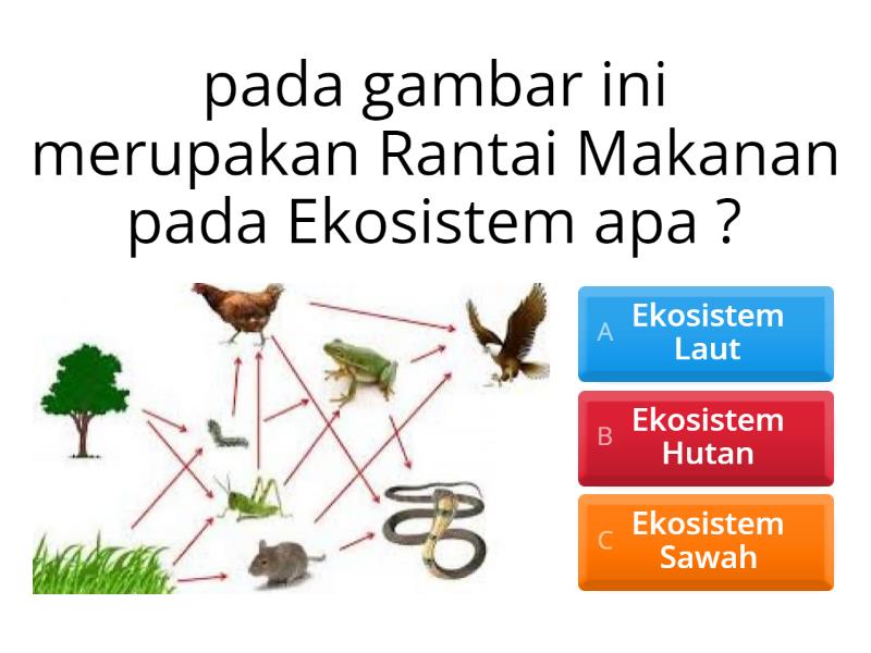 Ekosistem - Quiz