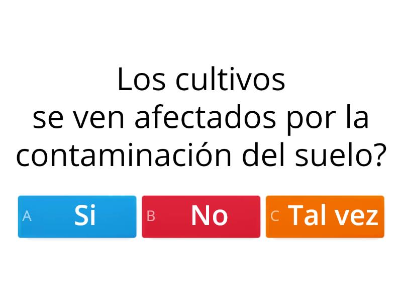 IMPORTANCIA DEL CUIDADO DEL MEDIO AMBIENTE 2b - Kuis