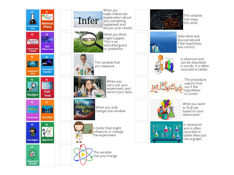 Scientific Process & Variables - Match up