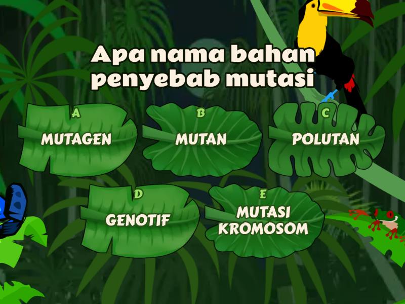 MUTASI BIOLOGI - Quiz