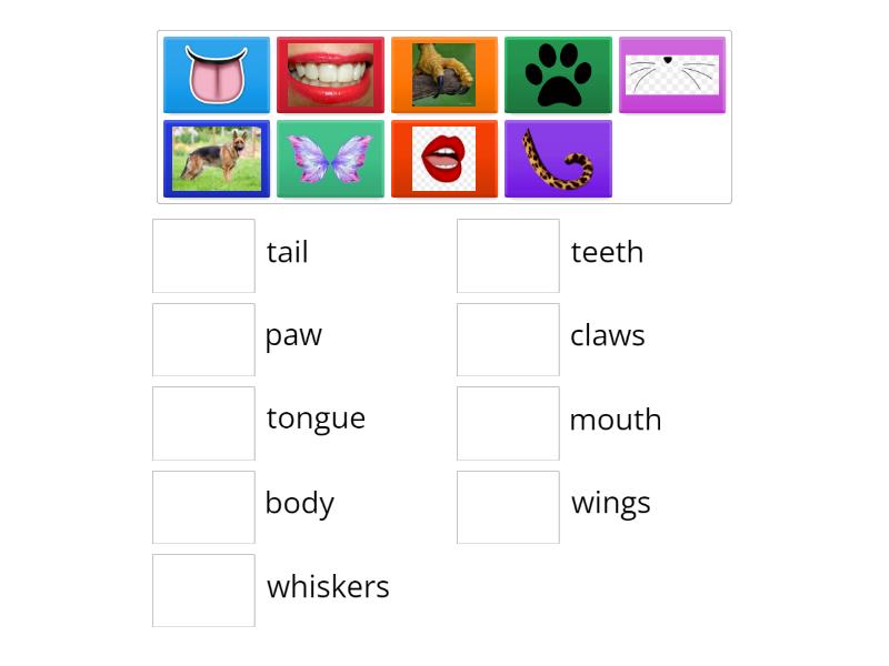 bugs team 2 unit 3 lesson 5 wordwall