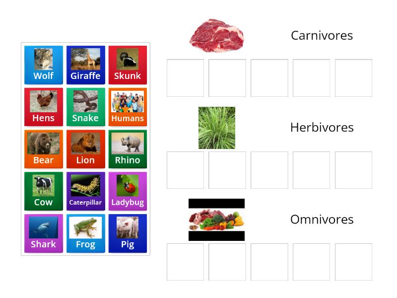 Carnivore, Herbivore or Omnivore? - Ordenar por grupo