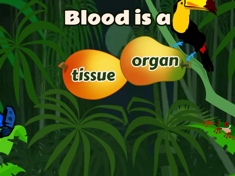 Ffynone House AQA biology: cells, tissues, organs, organ systems (speed ...