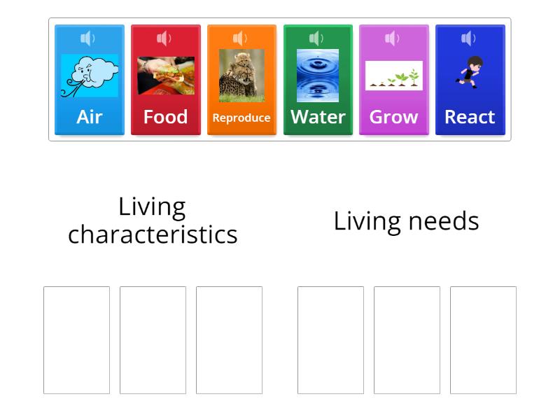 Living characteristics and living needs - Ordenar por grupo