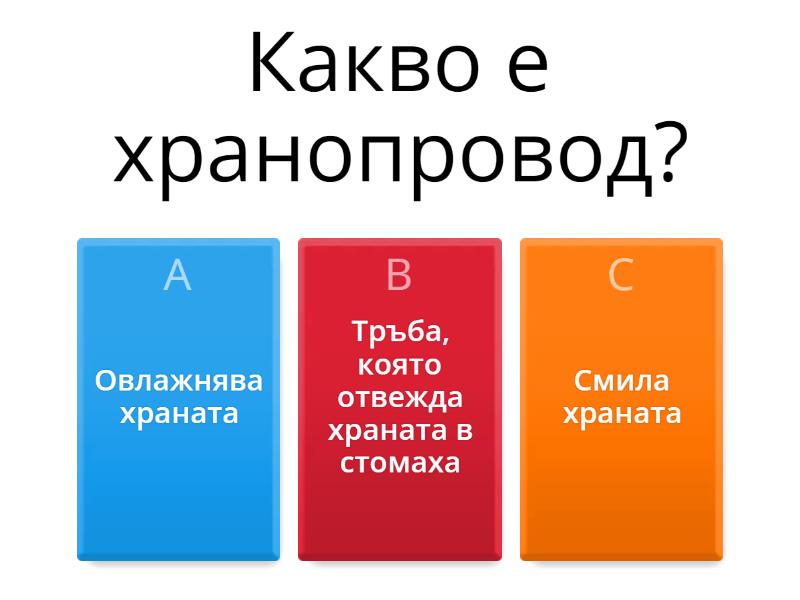 Хранене и дишане при човека - Quiz