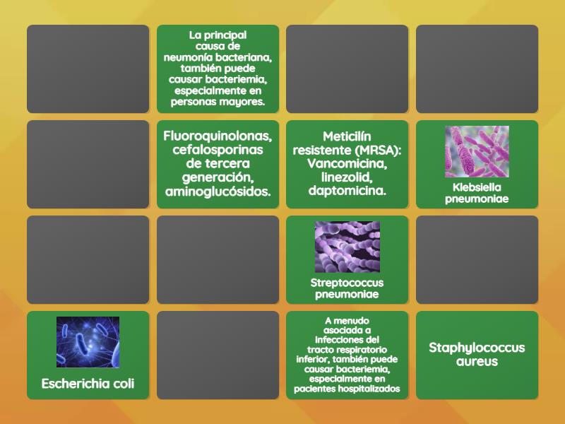 Ronda Juego De Memoria Parejas