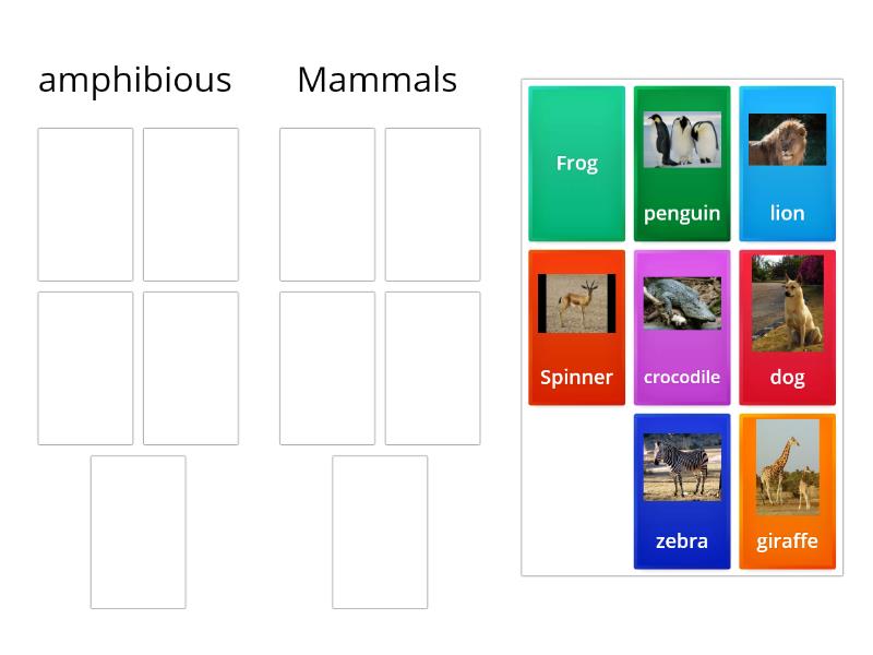 Classification of animals, amphibians, mammals - Group sort