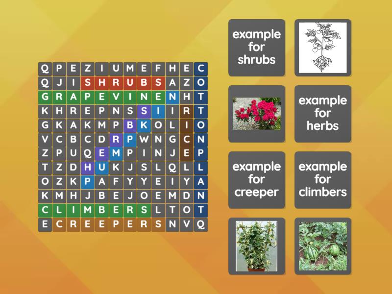 word search plants Wordsearch