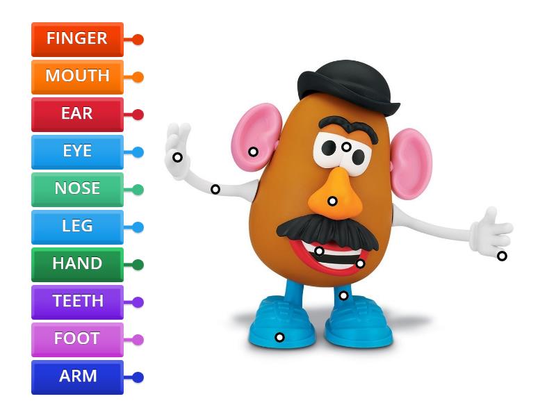 Mr. Potato Head Body parts Labelled diagram