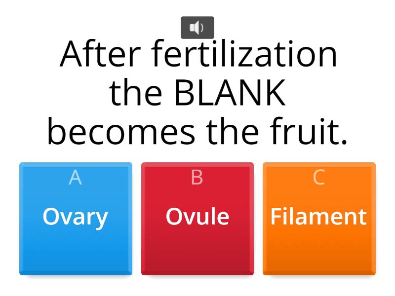 parts-of-a-flower-quiz