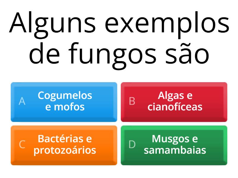 atividade sobre os fungos - Quiz
