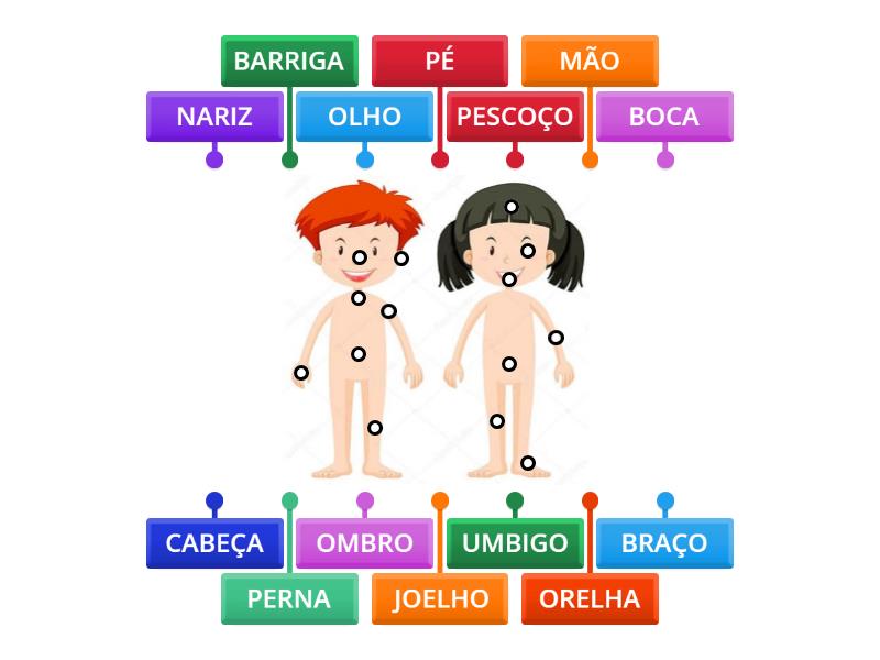 PRINCIPAIS PARTES DO CORPO HUMANO - Labelled Diagram