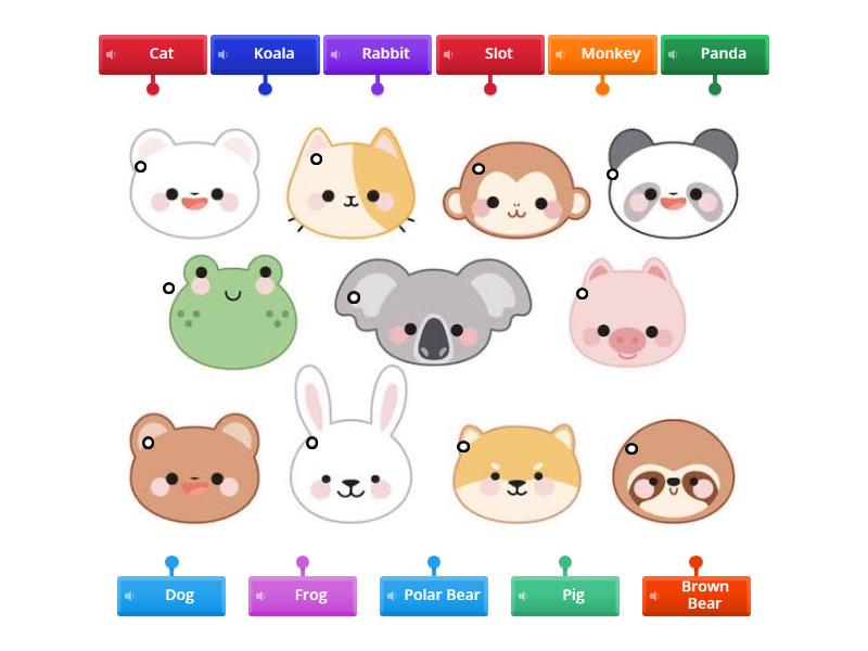 Animals! - Labelled diagram