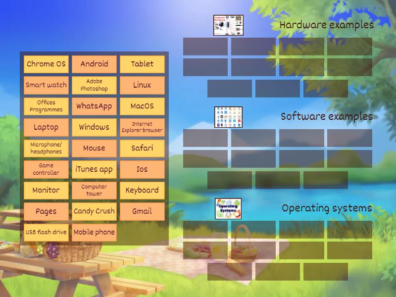 Hardware, Software & Operating systems - Group sort