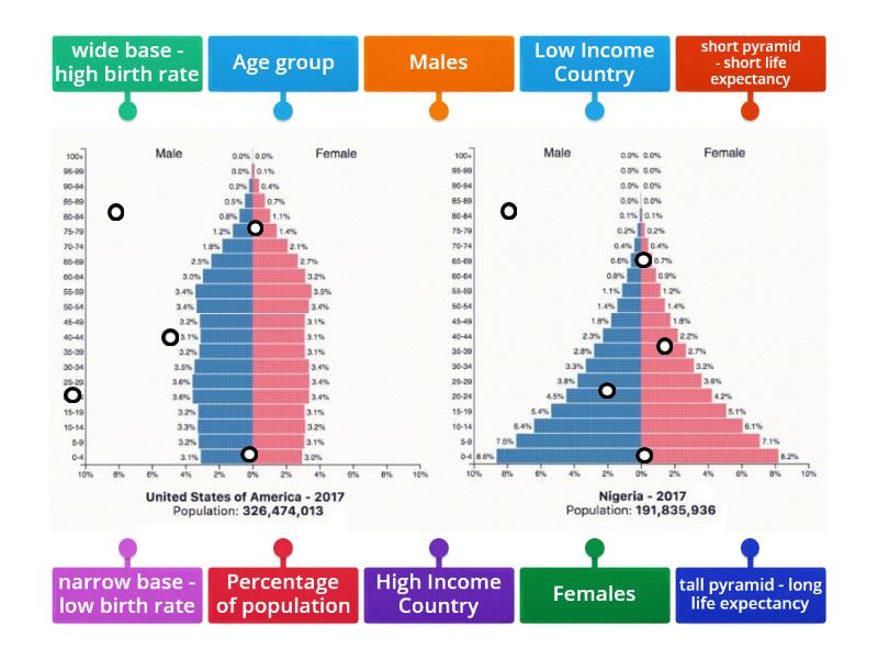 Population Pyramids - Labelled diagram