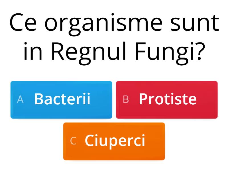 Regnul Fungi - Quiz